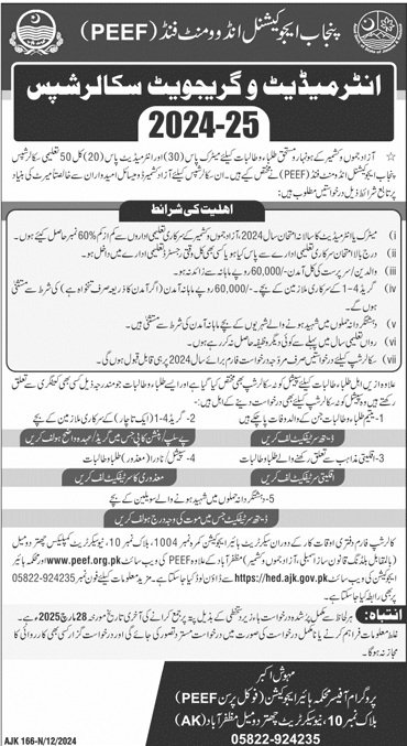 Advertisement for PEEF Scholarships for AJK Students 2025