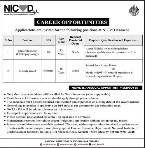 NICVD Jobs 2025 Advertisement