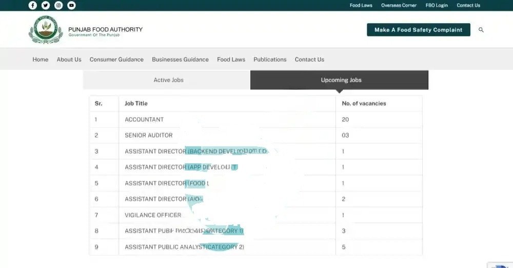 Punjab Food Authority Jobs 2025 Advertisement