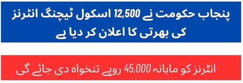 Punjab School Teaching Interns STI Program 2025