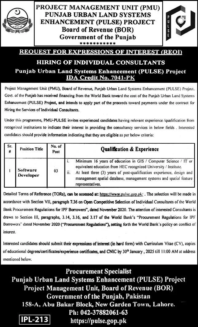 Punjab Urban Land Systems Enhancement PULSE Jobs 2025 Advertisement