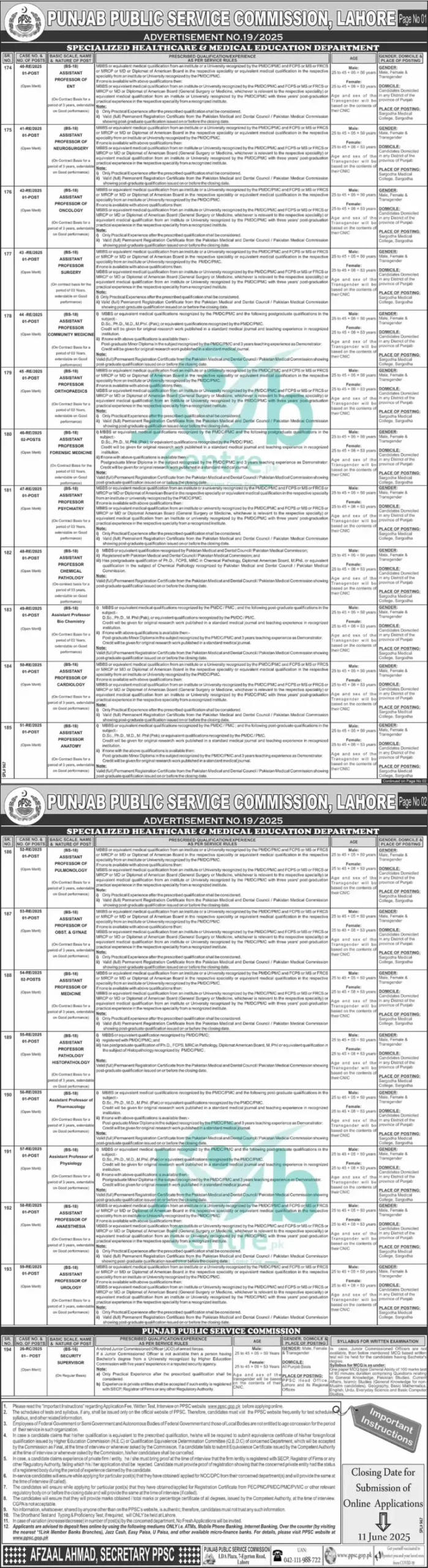 www.ppsc.gov.pk Jobs Online Apply For Latest Advertisement No 19 2025